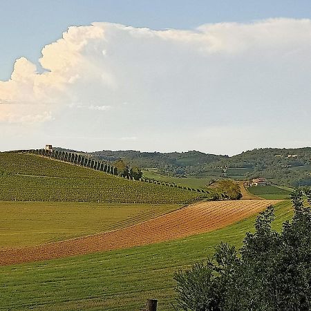 La Libellula - Appartamento/Casa In Monferrato Unesco Casorzo Luaran gambar