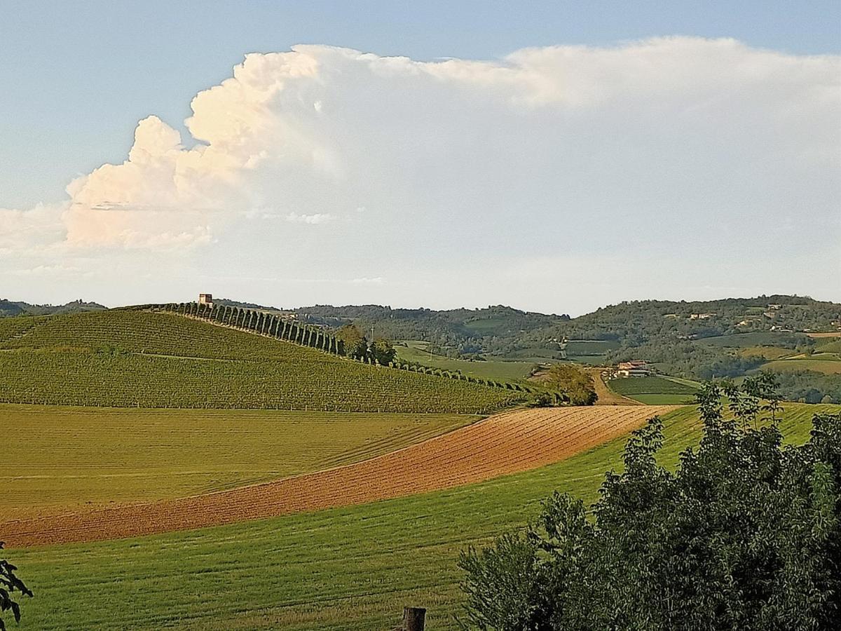 La Libellula - Appartamento/Casa In Monferrato Unesco Casorzo Luaran gambar